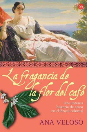 La Fragancia De La Flor Del Café