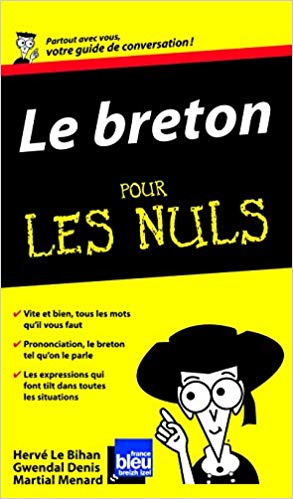 Le breton pour les Nuls