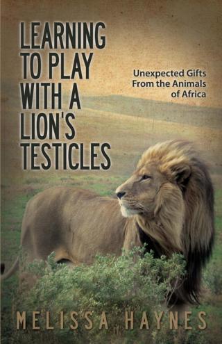Learning to Play with a Lion's Testicles: Unexpected Gifts from the Animals of Africa