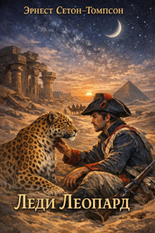 Леди Леопард