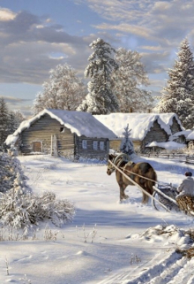 Лесные бандиты