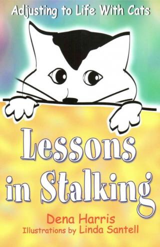 Lessons in Stalking: Adjusting to Life with Cats