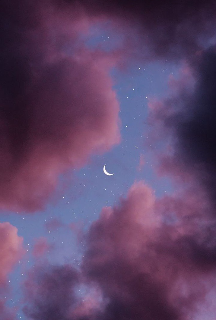 Летняя ночь