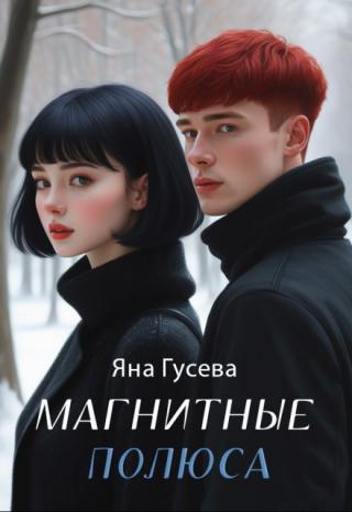 Магнитные полюса