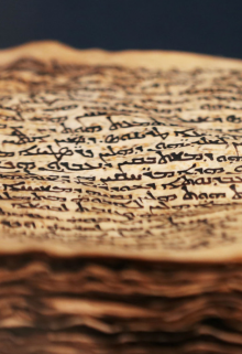 Манускрипт Ежова