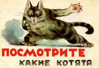 Матвеев В. Ф. - Посмотрите, какие котята (илл. Карлов Г.) - 1965