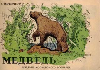 Медведь [1945] [худ. Г. Никольский]