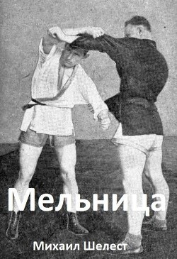 Мельница 3 (СИ)