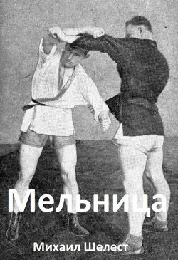 Мельница 4 (СИ)