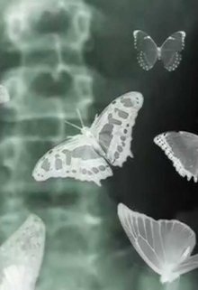 Мертвые Бабочки