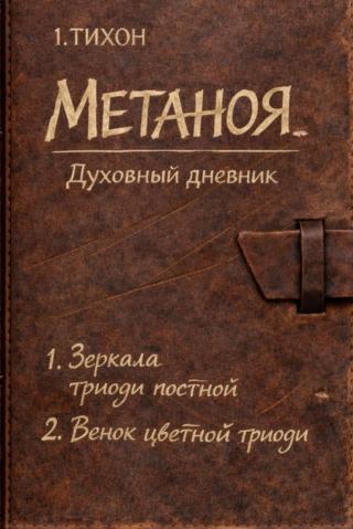 Метаноя