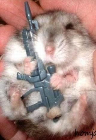 Милиционеры - 