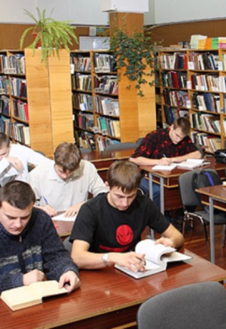 Мишка на севере