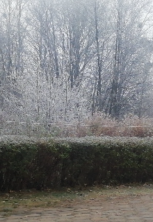 Мною пройденный путь