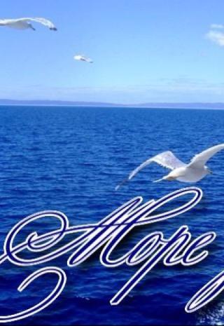 Море зовёт