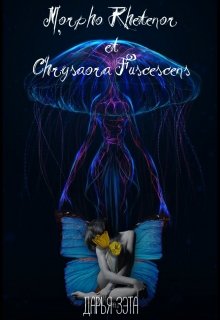 Morpho Rhetenor et Chrysaora Fuscescens