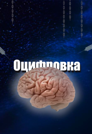 Мост между мирами: искусство оцифрованного сознания