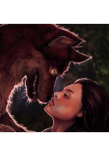 Моя и точка