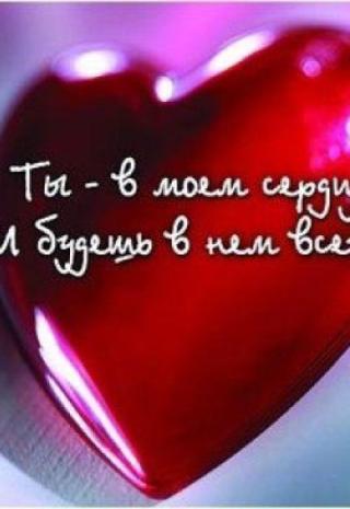 Моё Предложение
