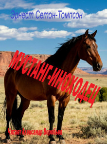 Мустанг-иноходец