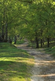 Музыка природы