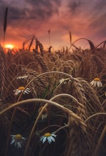 Мысли вслух