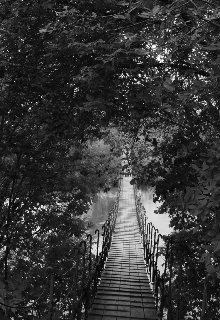 Мысли жизни