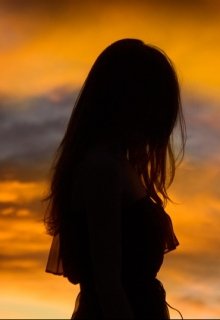 Наш тонкий мир