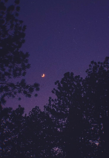 Навсегда твоя