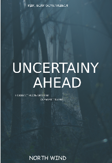 Неизвестность впереди