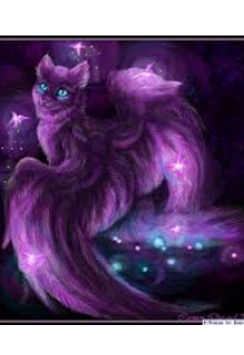 Необычный кот