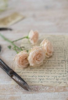 Неотправленные письма