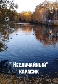 Неслучайный карасик