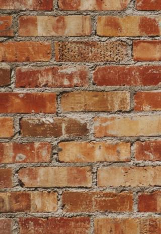 Неуслышанный