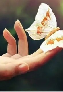 Невесомое счастье