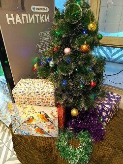 нг шоу блог ( СИ )