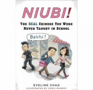 Niubi! The Real Chinese You Were Never Taught in School