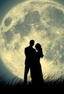 Ночная гортензия.