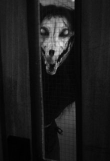 Ночная встреча