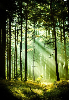 О прошлом...