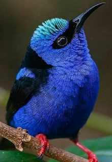 Обзоры книг литнета