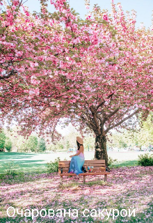 Очарована сакурой