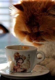 Одно волшебное утро.