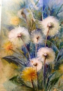 Одуванчики