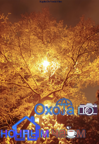 Охота по ночным чаям