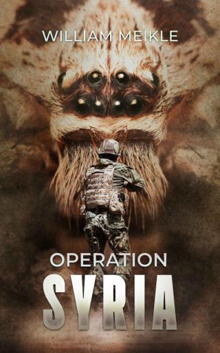 Operation Syria