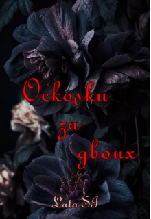 Осколки за двоих