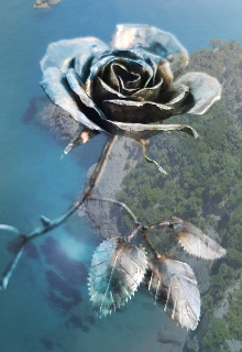 Остров хрупкой надежды