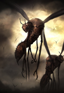 Осы в темноте