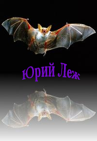 От рассвета до заката